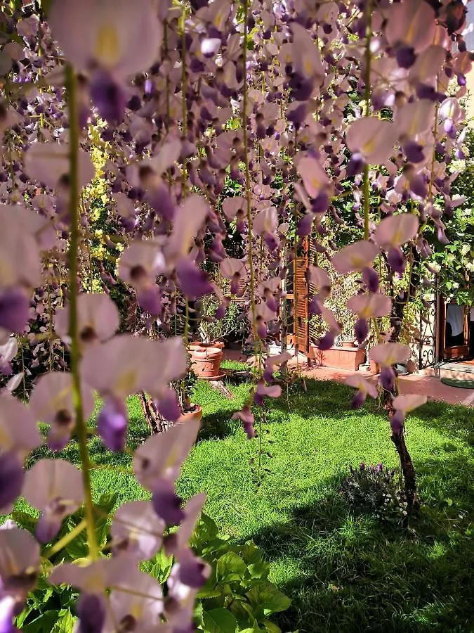 Al Giardino Di Alice Bed & Breakfast Perugia